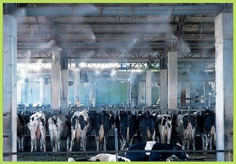 6M%20Mist%20System%20Complete%20Kit%20-%20Image%206