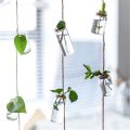 Set of 8 Hanging Glass Vases for Home Decor | Rustic Rope Design | Housewarming Gift | Beautiful Gift Ideas for Home Decorations - Event Decore. 