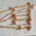 5~15CM/12PCS Natural Dried Preserved Millet Flower,Dry Tiny Ozothamnus Diosmifolius Flowers DIY For Candle Making Supplies,Resin. 