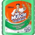 Mr Muscle Advanced Power Cleaning Spray for Streak Free Shine, 750 ml. 