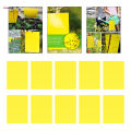 Dual-Sided Yellow Sticky Traps for Flying Plant Insect Such Fungus Gnats, Whiteflies, Aphids, Leafminers,Thrips, 6x4 Inch. 