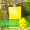 Dual-Sided Yellow Sticky Traps for Flying Plant Insect Such Fungus Gnats, Whiteflies, Aphids, Leafminers,Thrips, 6x4 Inch. 