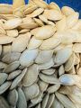 pumpkin seeds 1000 gram | namkin beej | shelled. 