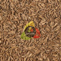 Premium Organic Cumin Seeds 140g - Healthy Cooking Ingredient, Gluten-Free, Multipack Option. 