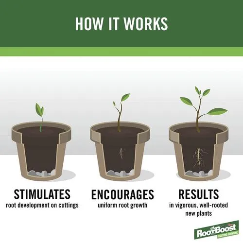 Original%20Rooting%20Hormone%20Powder%20For%20Plants%20-%20Cuttings%20Improved%20Fastest%20Growth%20Formula%20-%20Image%203