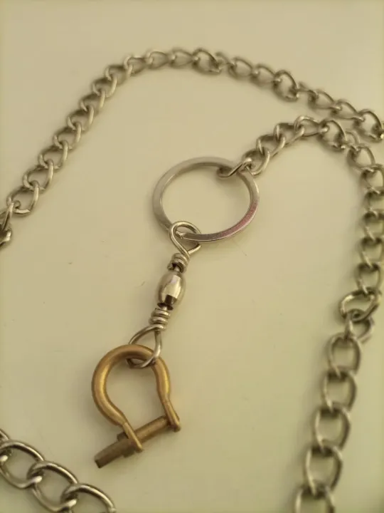 Parrot%20Leashes%20Foot%20Chain,%20Stainless%20Steel%20chain%20Anti-bite%20Flying%20Training%20Solid%20Brass%20U%20Lock%20Clasp--Brass%20Shackle%20Bird%20Harness%20for%20Parrots%20Macaw%20African%20Greys%20Parakeet%20Cockatoo%20Ring%20neck%20electus%20medium%20and%20large%20Anti-Off%20Fly%20Birds%20Flight%20Trainer%20-%20Image%204