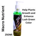 Macro Nutrients and IRON Aquarium (Fer) Nutrients, Combo (Fer) for Aquarium Plants. 