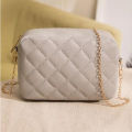 Shein- Minimalist Quilted Chain Crossbody Bag- Grey. 