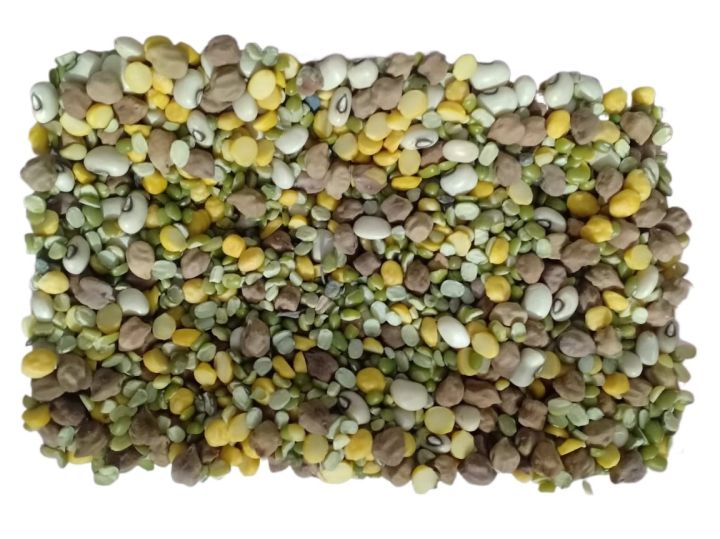 Organic%20Birds%20feed%20/%20Birds%20food%20Ready%20to%20prepare%20Soft%20Food%20Seed%20Mix%20for%20cocktail%20cockatoo%20Alexandrine%20,%20RAW,%20Pahari%20Totta%20Larges%20Parrots,%20Suitable%20for%20African%20Grey%20Parrot,%20Macaw,%20%20lovebirds,%20Australian%20parrots,%20raw,%20ring%20neck%20and%20Other%20similar%20birds%20-%20Image%203