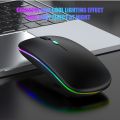 Wireless Mouse RGB Rechargeable Bluetooth Mice Wireless Computer Mause LED Backlit Ergonomic Gaming Mouse for Laptop PC. 