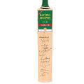 Batting Legends Cricket Memorabilia - Wall Hanging Frame. 