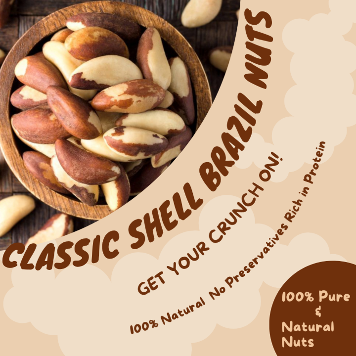 Nutistan Classic Shell Brazil Nuts Fresh & Premium Quality Whole