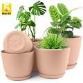 Plant Pots Indoor with Drainage - Pack of 5 Decorative Flower Pots for Indoor Plants. 