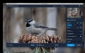 Topaz Sharpen Al : An image sharpening software program that can sharpen your photos .(Lifetime Activated). 