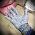 Anti-Cut/Resistant Gloves. 