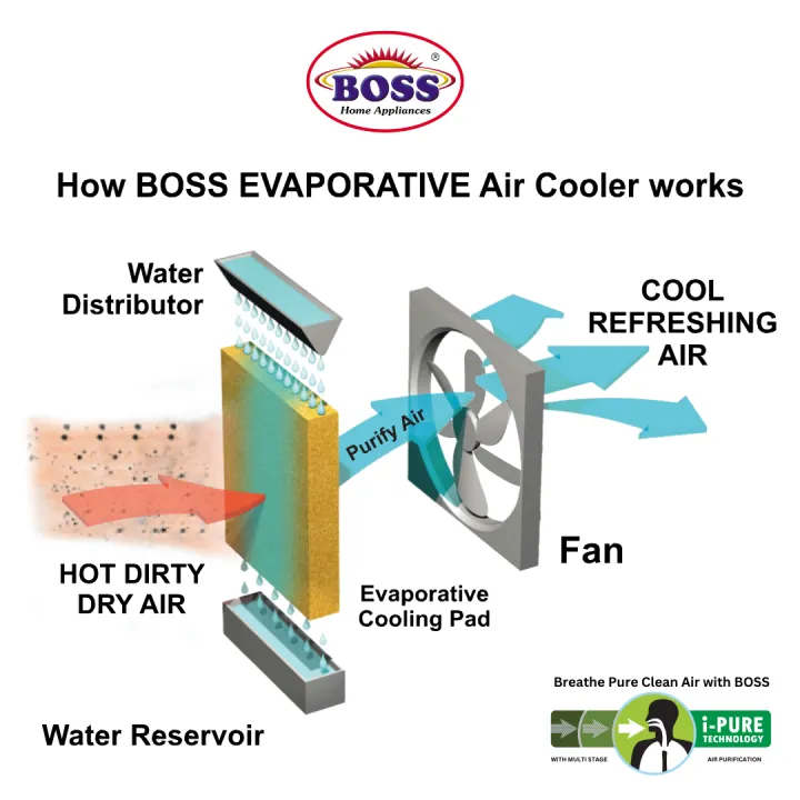 Boss Air Cooler ECM 8000 ICE BOX Inverter Technology High Throw | Daraz.pk