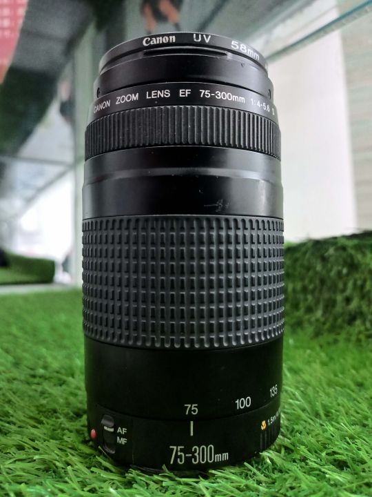Canon EF 75-300mm f/4-5.6 II Zoom Lens with UV Filter, Front & Back Caps