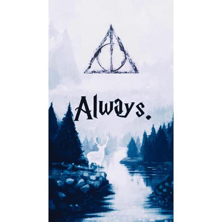 Harry Potter Series Hogwarts Enthusiasts Movie Posters Vinyl Paper Quotes Vintage Posters Home Room Art Painting Wall Poster
