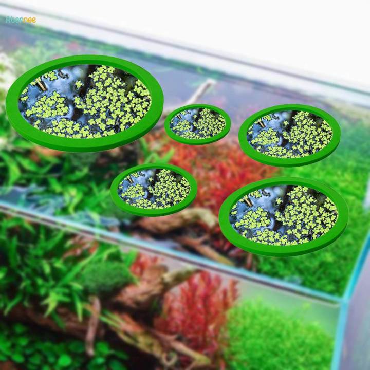 5x Tank Grass Blocking Rings Set Lightweight for Tank Pool Pond Green