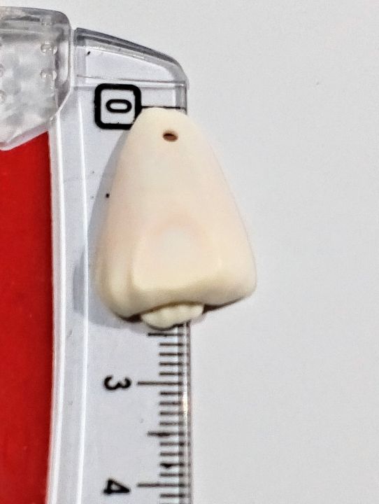 Natural%20Marine%20Pieces%20For%20DIY%20Crafts%20%7C%2015%20Mix%20Size%20pcs%20(2.5cm%20to%205cm)%20%7C%20Real%20Cut%20Marine%20Pieces%20With%20Hole%20%7C%20Use%20As%20Beads,%20Pendent%20Or%20Aquarium%20%7C%20Ideal%20For%20DIY%20Jewelry%20Making,%20Crafting,%20And%20Home%20Decoration%20-%20Image%203