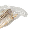 Freeze Dried Fish, Vacuum Capelin Freeze Dried Fish Snacks for Cat. 