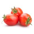 Summer Vegetables and Fruits Seeds with Gift Seeds. 
