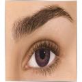 FreshLook Colorblends-Amethyst (-5) Single Contact Lens. 