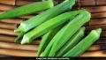 Okra Lady Finger (Bhindi) Kitchen Gardening Vegetable Seeds. 