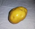 1 Piece - Styrofoam Simulated Vegetables & Fruits for Decoration (Thermacol Artificial Vegetable & Fruit). 
