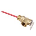 WYA-20 99C 101 PSI 210F WYA-20 0.7Mpa to Valve BSP 3/4 Inch Temperature and Pressure Relief Valve As TP Safety Valve. 