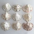 Newborn Baby Lace Hat Cute Cotton Kids Baby Girl Gauze Caps Princess Infant Toddler Baby Spring Bonnet Girls Summer Sun Hat Gift. 