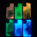 Luminous Neon Sand Case For iPhone 13 12 11 Pro Max X XR XS Max 7 8 Plus Glow In The Dark Liquid Glitter Quicksand Phone Cover. 