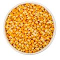Best Quality Raw Popcorn Kernels - کچے پاپکارن  Uncooked Popcorns - 250 Grams. 