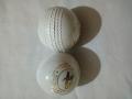 Practice Cricket Hard Ball (Synthetic) White. 