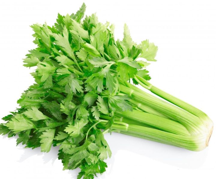Celery%20Seeds,%20Kitchen%20gardening%20vegetable%20seeds%20-%20Image%202