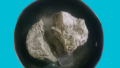 Moom Desi (Bees Wax) (Desi) 100 GM. 