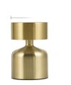 Rechargeable Metal Touch Table Lamp with 3-Level Brightness & Stepless Dimming | Warm, Natural, Cool Light Options. 
