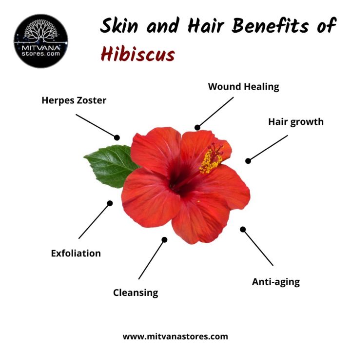 SK%20ORGANIC%20Hibiscus%20powder%20For%20Hair%20Fall%20And%20Growth%20150g%20-%20Image%203