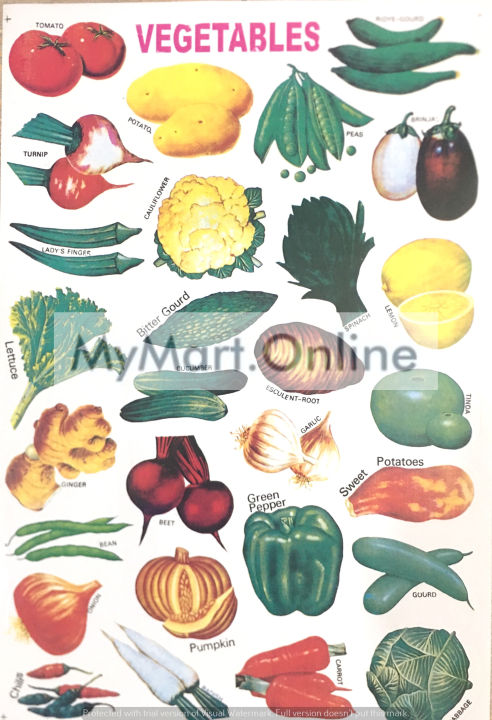 Sticker%20for%20Kids/%20Sticker%20sheet%208%20Pcs/%20Urdu%20Sticker%20Pack%20/%20Animals,%20Birds,%20Fruits,%20Vegetables%20Stickers%20/%20Stickers%20for%20DIY%20Flashcards%20-%20Image%204