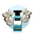 Da Vinci Code | A gentleman's favorite Scent | Long Lasting | Scents N Stories. 
