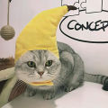 Funny Cute Pet Cat Costume Banana Cap Hat For Cat Dog Halloween Christmas Clothes Fancy Dress Party Pet Clothes. 
