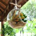 Techmanistan 1 Piece Transparent Ball Globe Shape Clear Hanging Glass Vase Flower Plants Terrarium Container DIY Wedding Home Decor Indoor Outdoor. 