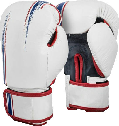HR Traders Best Boxing & Kick Boxing Gloves for Men and Women, Training & Sparring Gloves for Pro Fighters,
