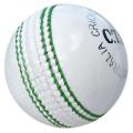 White Heavy Duty Cricket Hard Ball. 