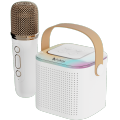 Audionic Boom Box 101 Speaker Bluetooth supported 4 different Voices RGB Lights with Mic. 