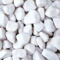 White Medium Pebbles/ Stones for Garden and Aquarium  1 kg pack. 