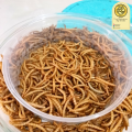 50g Dry Mealworms | Premium Quality Organic dried mealworms | Pet food | Rich source of Protein for Fishes, Birds, Chickens, Reptiles like Tortoise & Turtle and other small pets. 