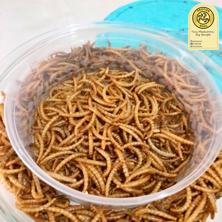 50g%20Dry%20Mealworms%20%7C%20Premium%20Quality%20Organic%20dried%20mealworms%20%7C%20Pet%20food%20%7C%20Rich%20source%20of%20Protein%20for%20Fishes,%20Birds,%20Chickens,%20Reptiles%20like%20Tortoise%20&%20Turtle%20and%20other%20small%20pets%20-%20Image%206