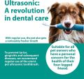 Pet Electric Toothbrush & Toothpaste - Oral & Skin Care Set for Pets - 100% Ultrasound Cleans Completely Silently - no Bristle Movements and no Vibration - for Cleaner Teeth / Healthier Gums / Fresher Breath. 
