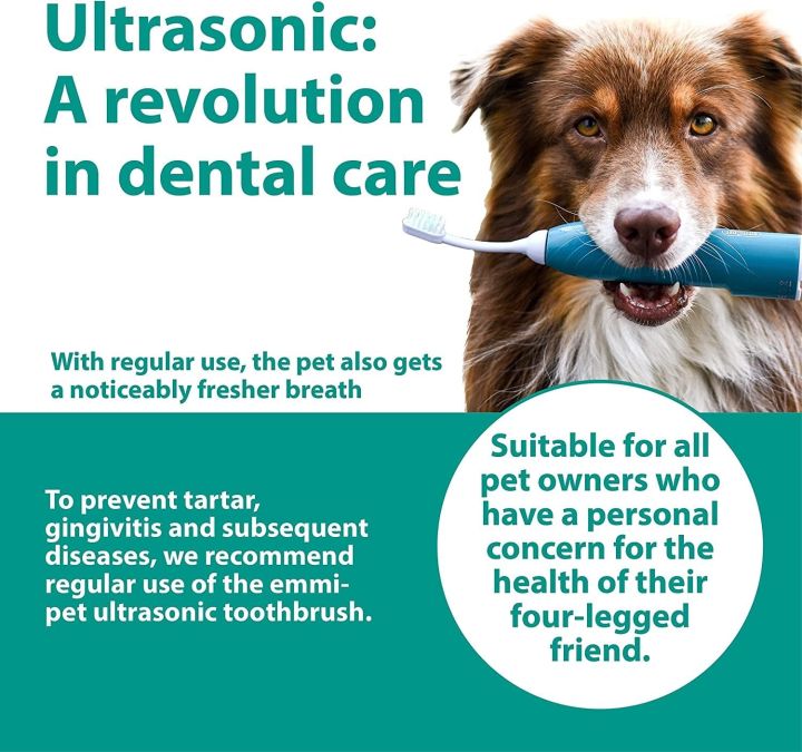 Pet%20Electric%20Toothbrush%20&%20Toothpaste%20-%20Oral%20&%20Skin%20Care%20Set%20for%20Pets%20-%20100%25%20Ultrasound%20Cleans%20Completely%20Silently%20-%20no%20Bristle%20Movements%20and%20no%20Vibration%20-%20for%20Cleaner%20Teeth%20/%20Healthier%20Gums%20/%20Fresher%20Breath%20-%20Image%207